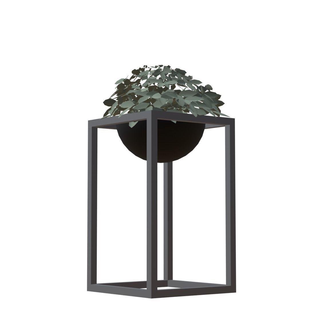 Decorative plants Low-poly 3D model_8