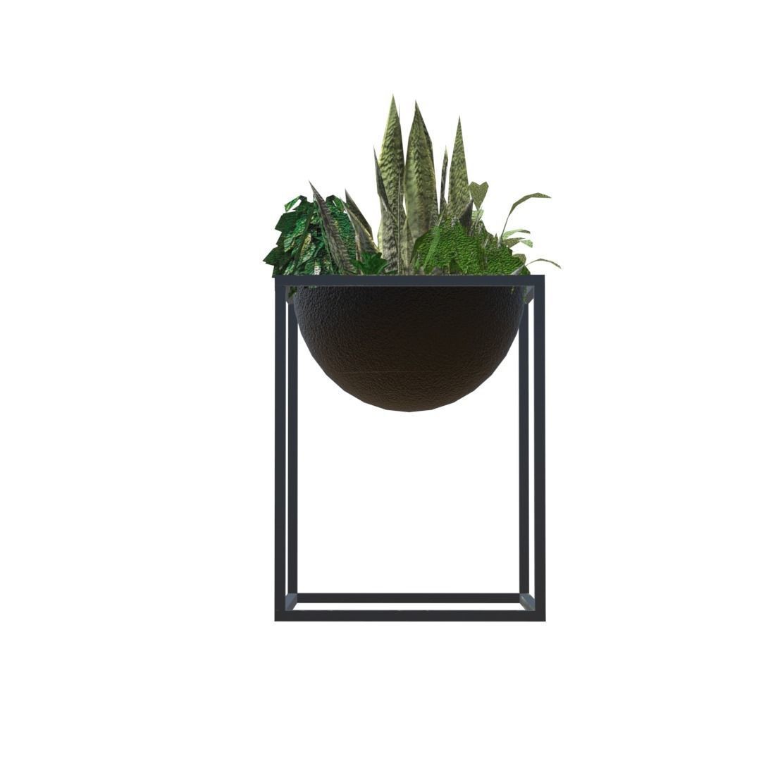 Decorative plants Low-poly 3D model_3