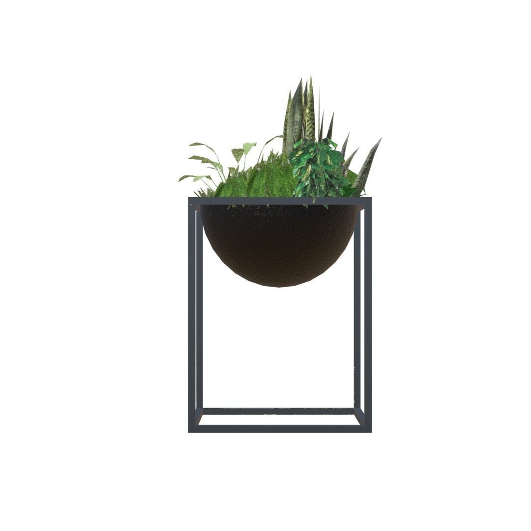 Decorative plants Low-poly 3D model_2