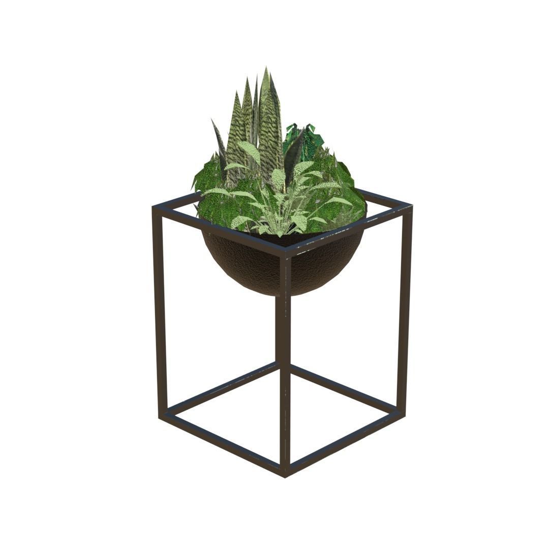 Decorative plants Low-poly 3D model_4