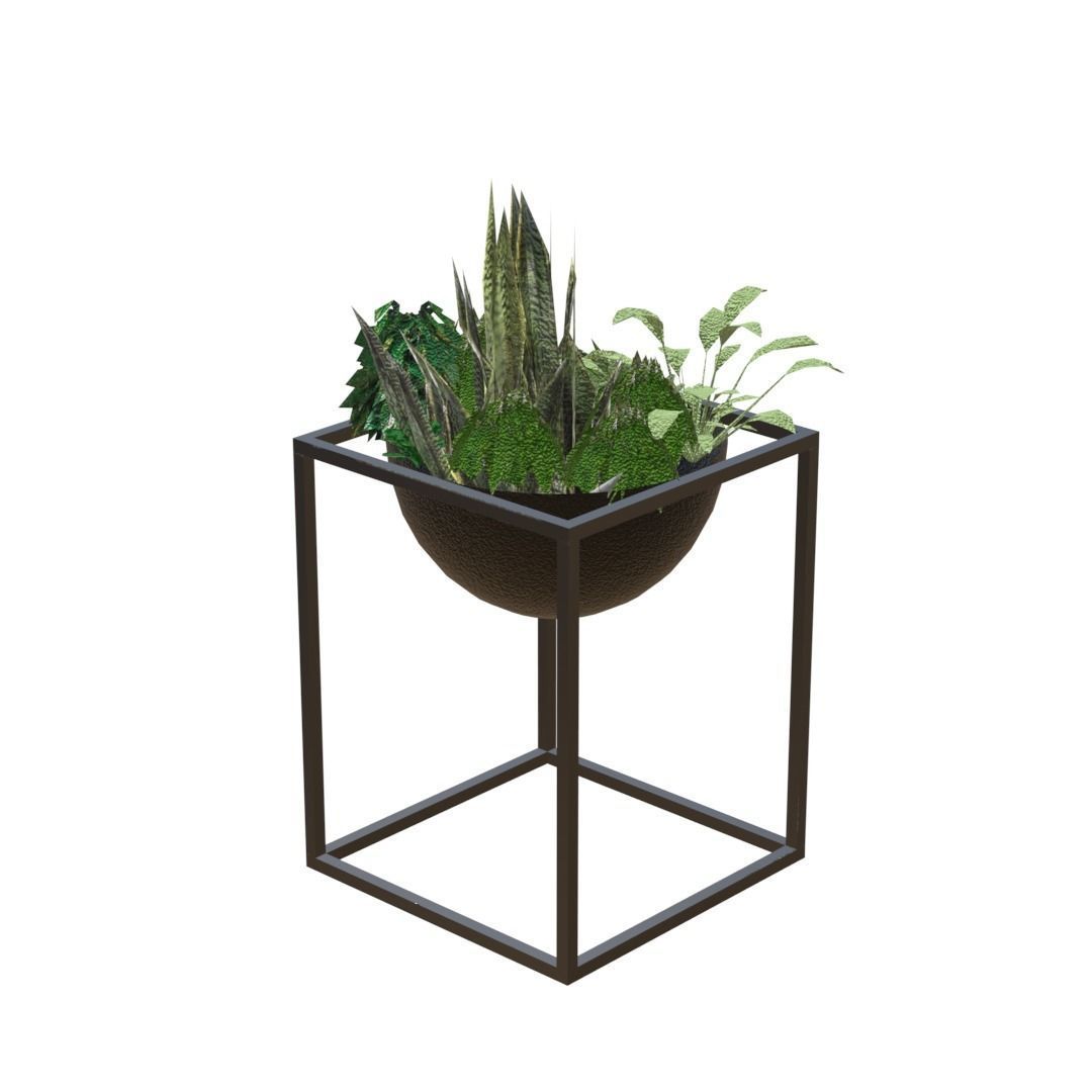 Decorative plants Low-poly 3D model_6
