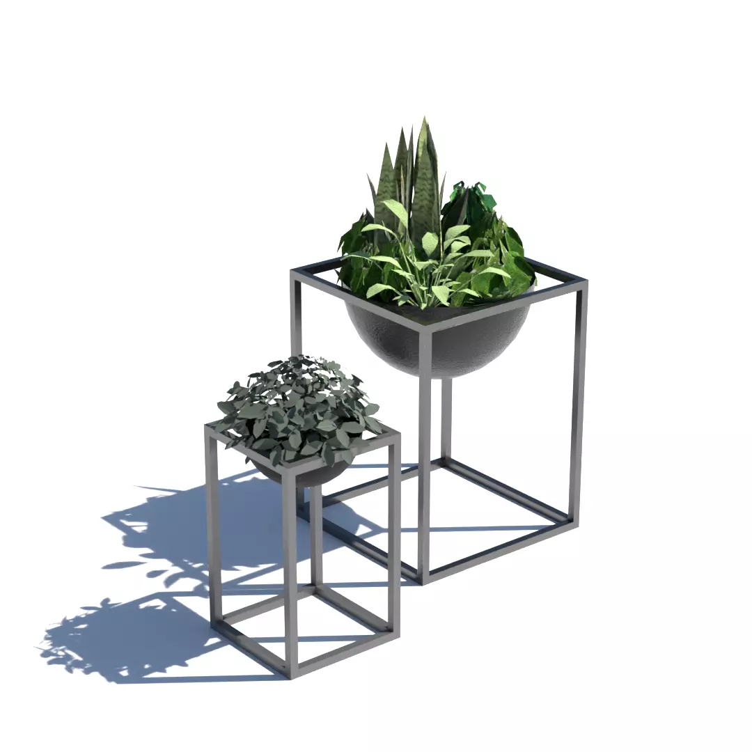 Decorative plants Low-poly 3D model_0