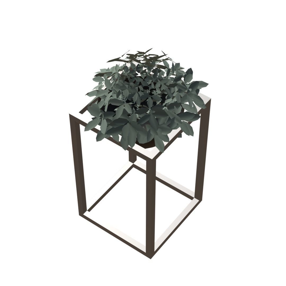 Decorative plants Low-poly 3D model_9