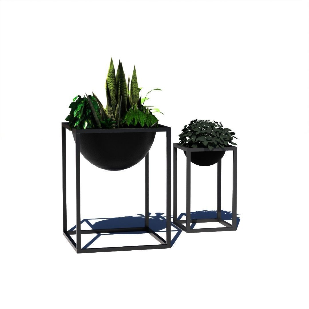 Decorative plants Low-poly 3D model_1