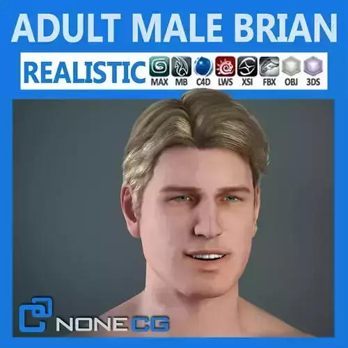 Adult Male Brian