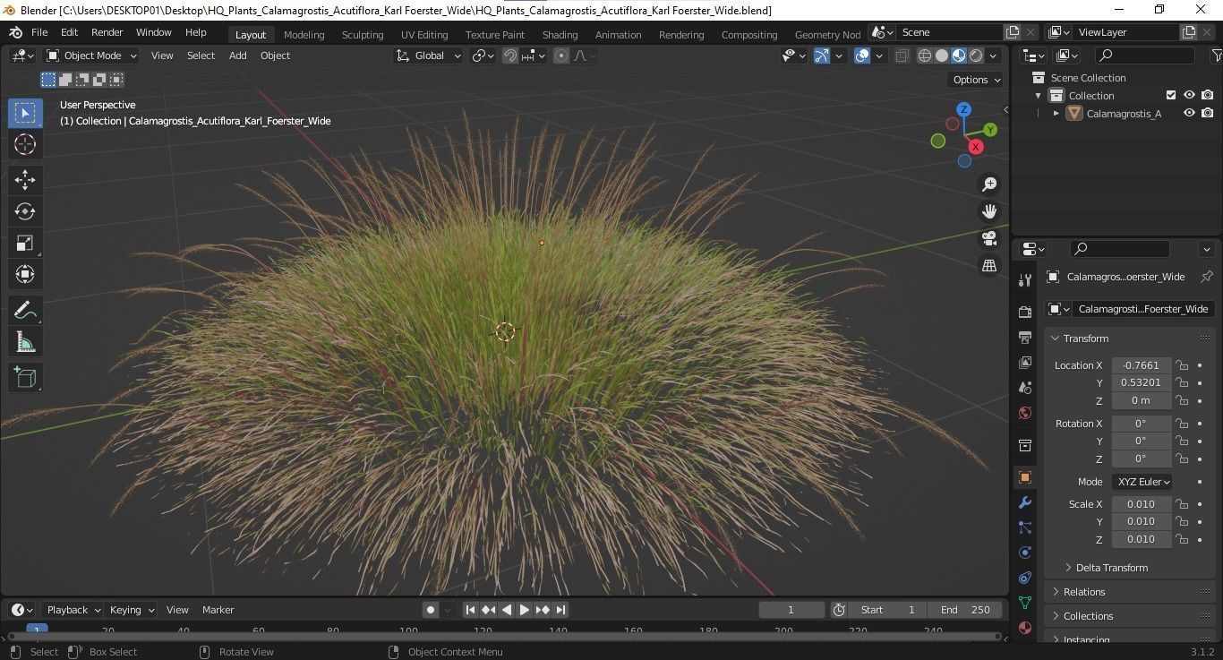 Plants Calamagrostis Acutiflora Karl Foerster Wide 3D model_5