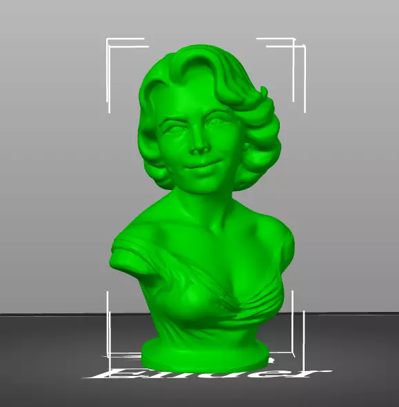 Elizabeth Taylor 3D print model_21
