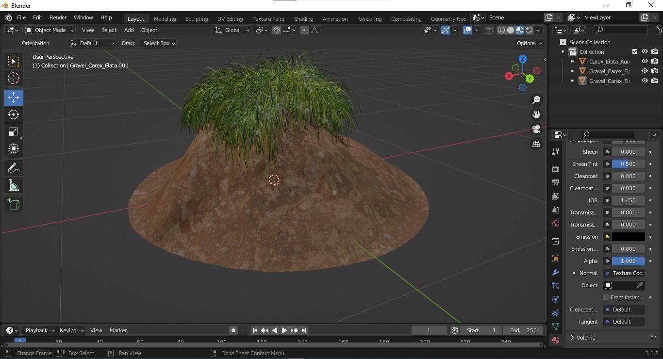 Plants Carex Elata Aurea Grass Version3 3D model_5