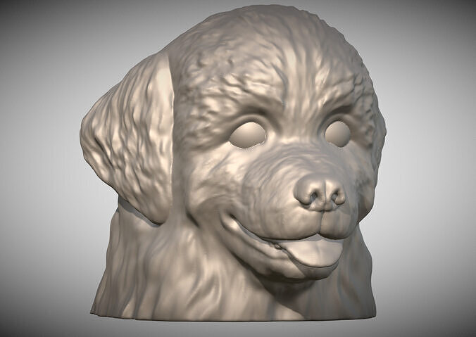 Puppy of Bernese Mountain Dog head for 3D printing Free 3D print model