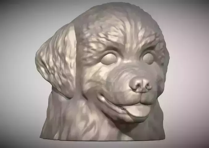 Puppy of Bernese Mountain Dog head for 3D printing Free 3D print model