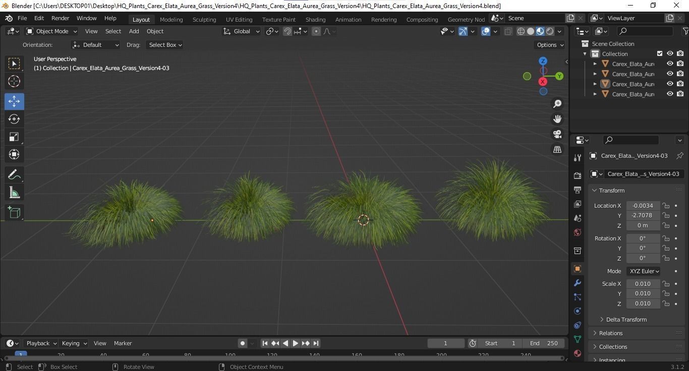Plants Carex Elata Aurea Grass Version4 3D model_4