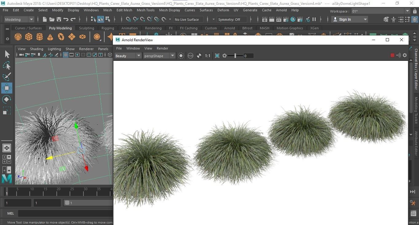 Plants Carex Elata Aurea Grass Version4 3D model_5