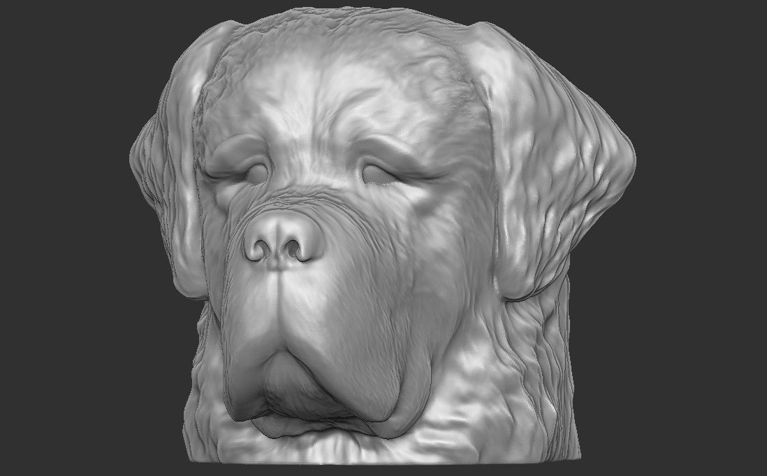 Saint Bernard dog head for 3D printing 3D print model_3