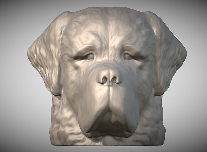 Saint Bernard dog head for 3D printing 3D print model