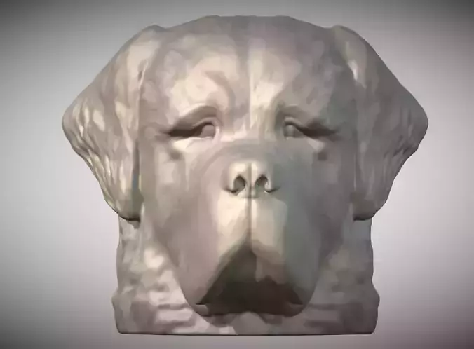 Saint Bernard dog head for 3D printing