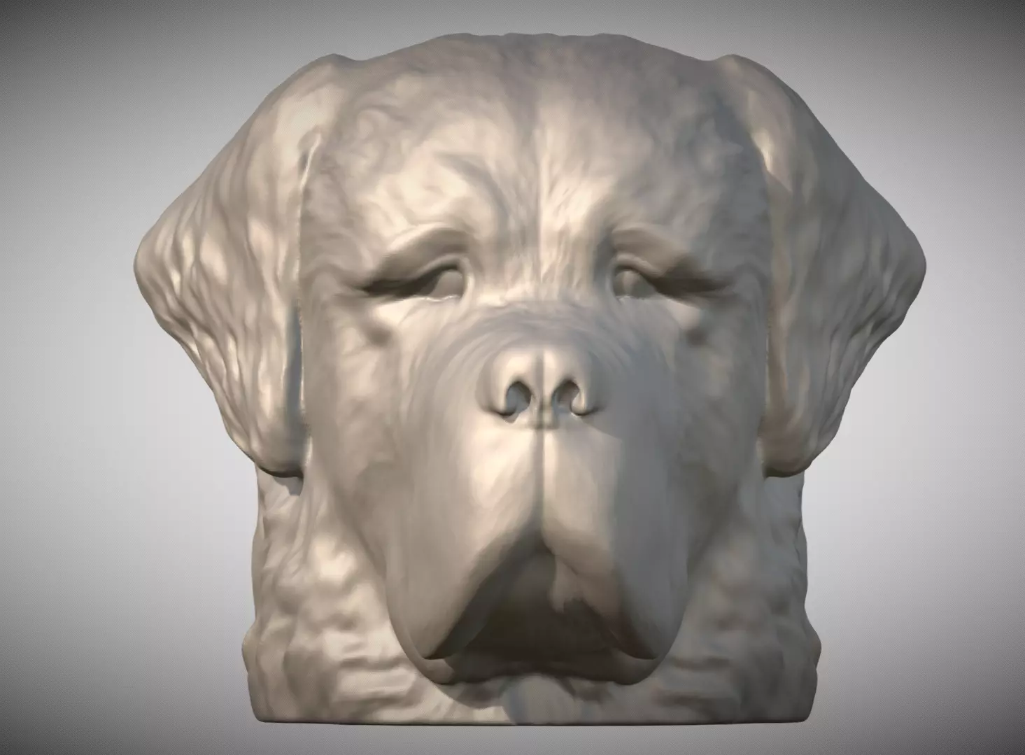 Saint Bernard dog head for 3D printing 3D print model_0