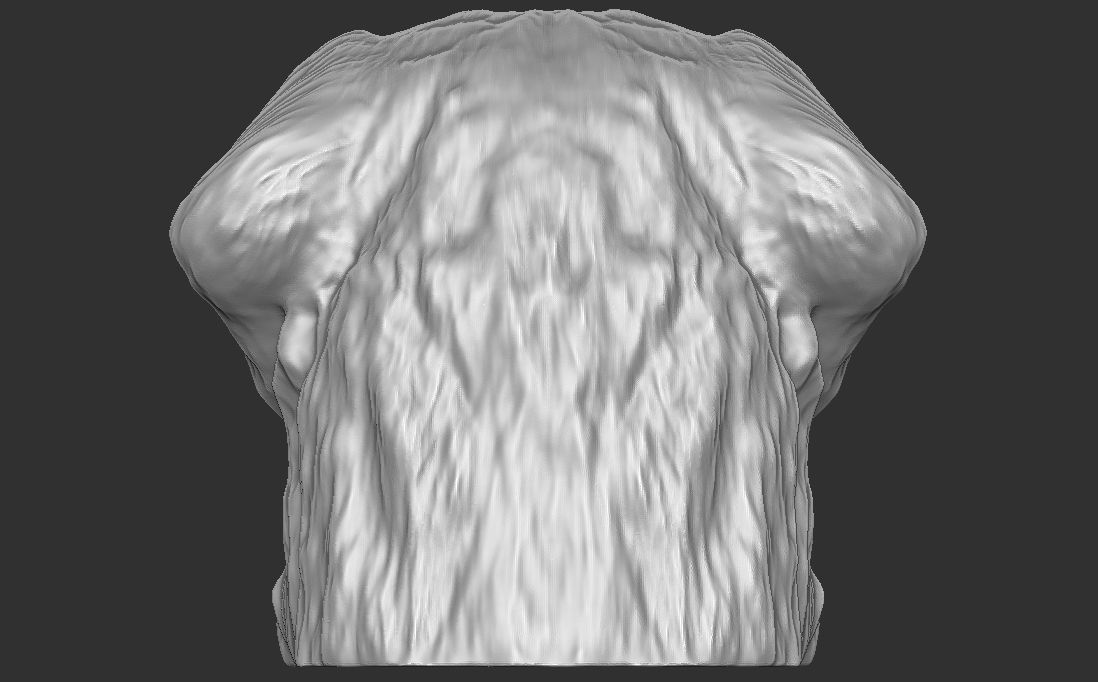 Saint Bernard dog head for 3D printing 3D print model_11