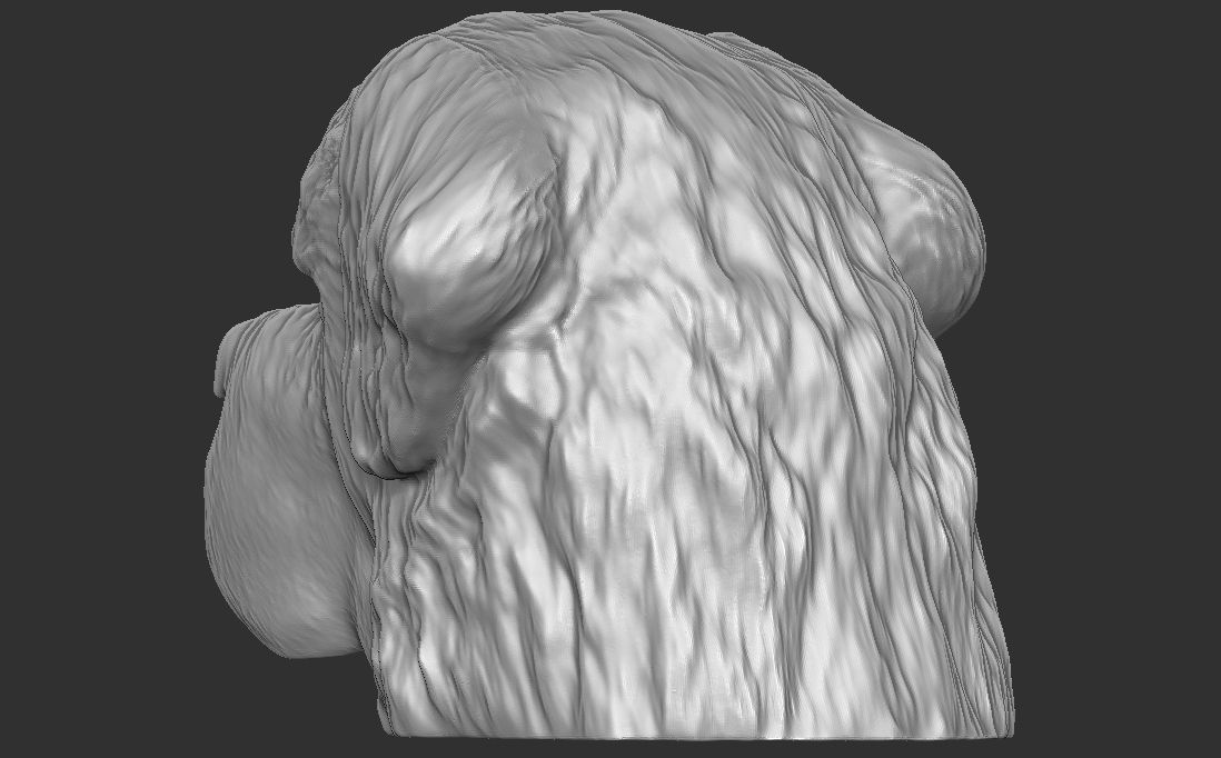 Saint Bernard dog head for 3D printing 3D print model_12