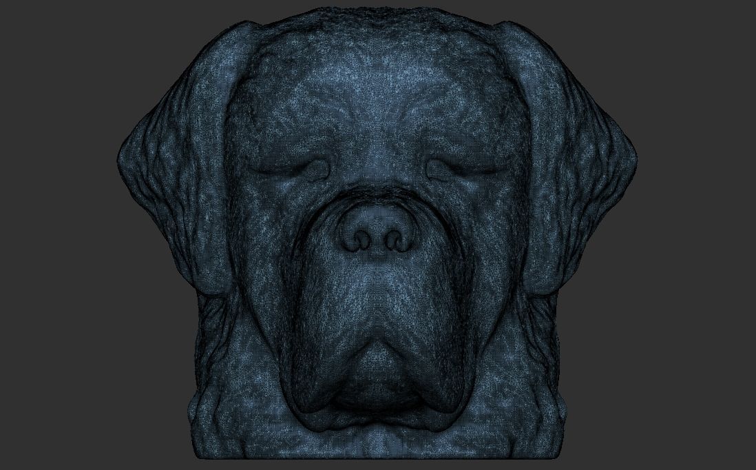 Saint Bernard dog head for 3D printing 3D print model_21