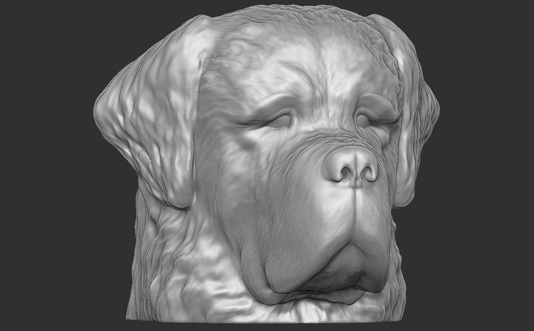 Saint Bernard dog head for 3D printing 3D print model_6