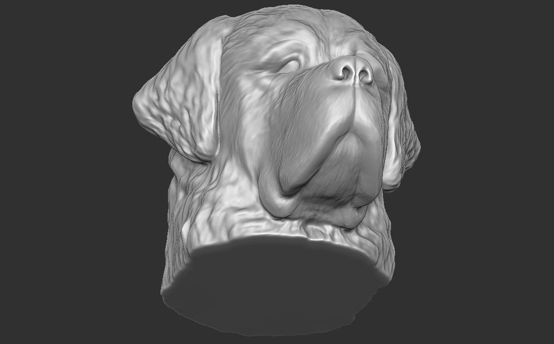 Saint Bernard dog head for 3D printing 3D print model_17