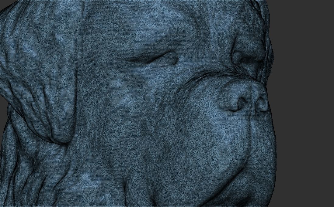 Saint Bernard dog head for 3D printing 3D print model_22