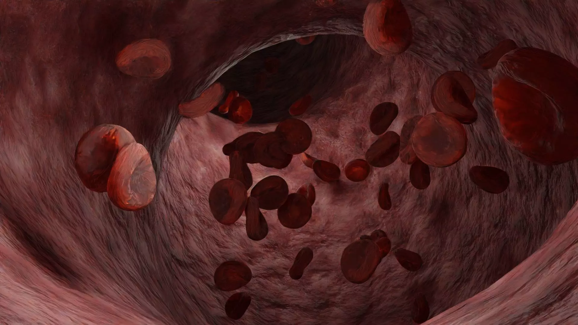 Animated Blood Cells in a Vein Free 3D model_0