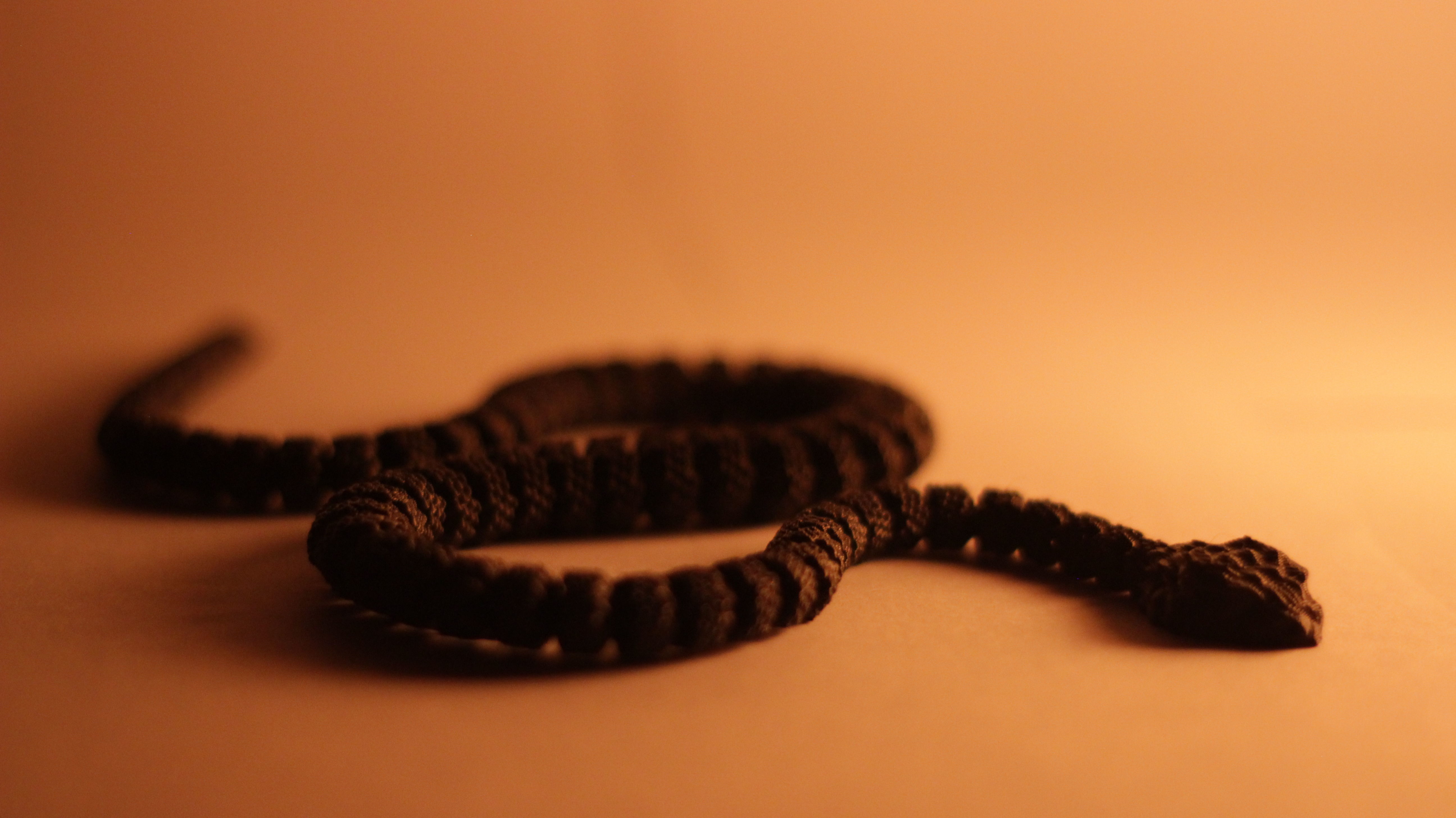 Articulated Rattlesnake 3D print model_4