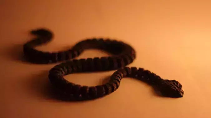 Articulated Rattlesnake