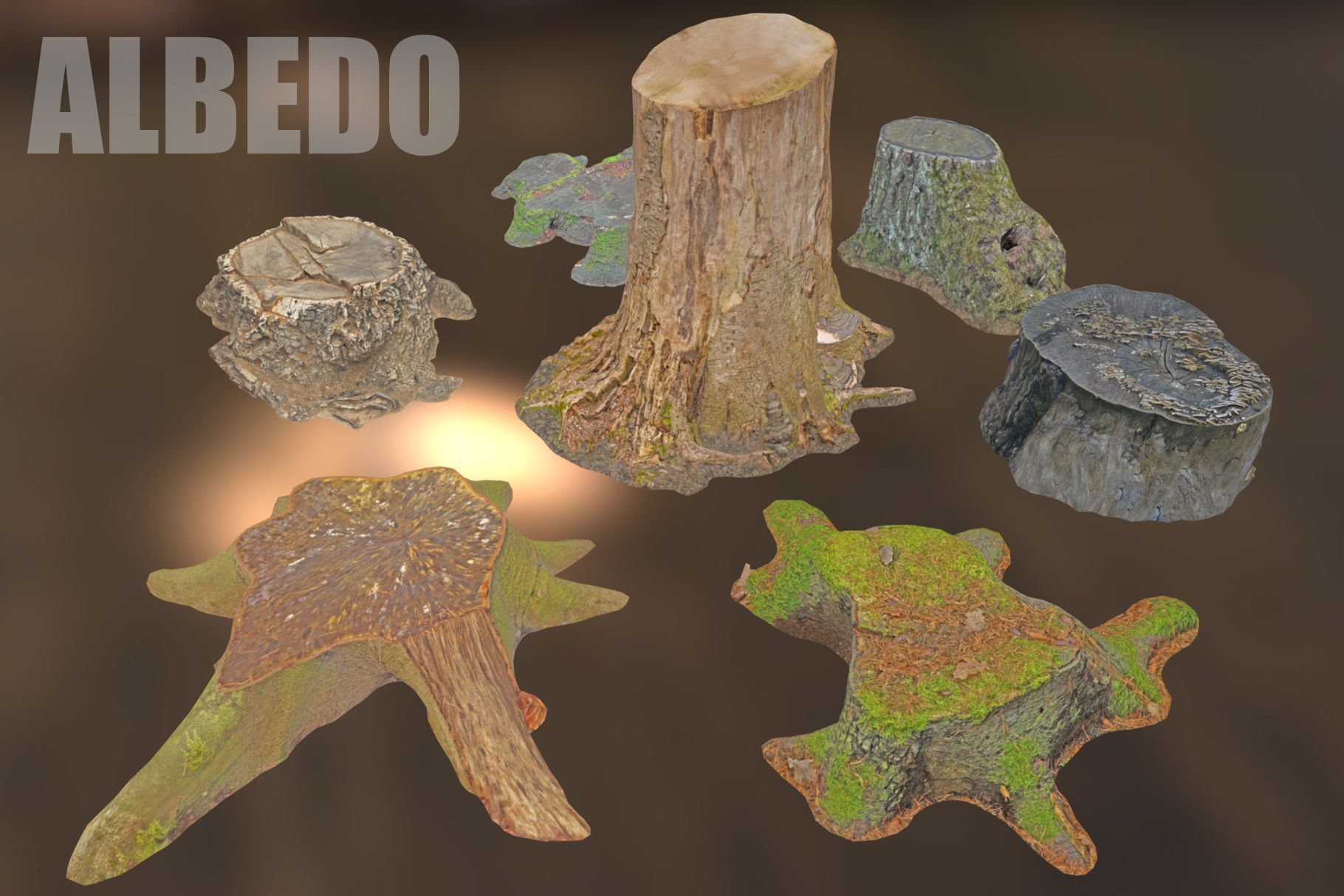 Photorealistic Tree Stumps with LODs Low-poly 3D model_15