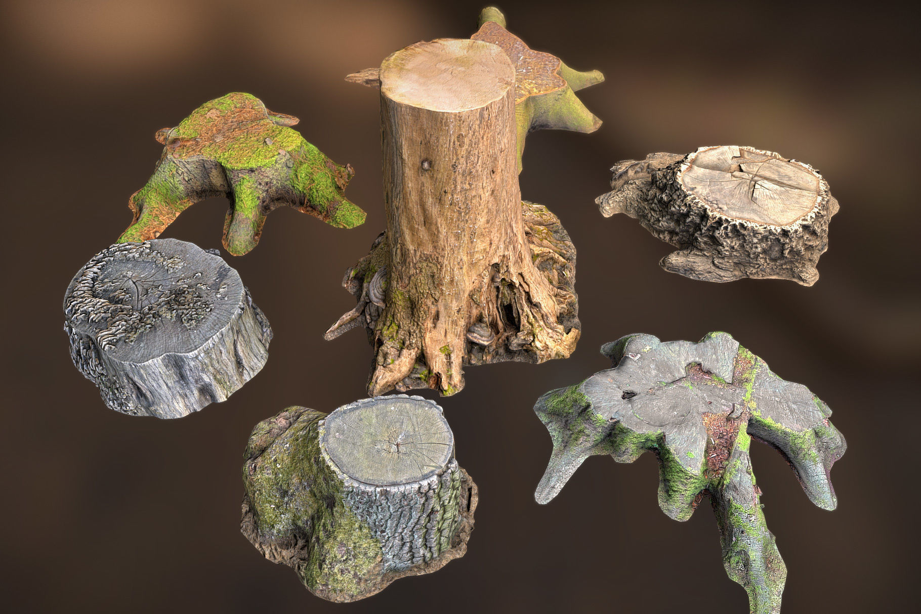 Photorealistic Tree Stumps with LODs Low-poly 3D model_8