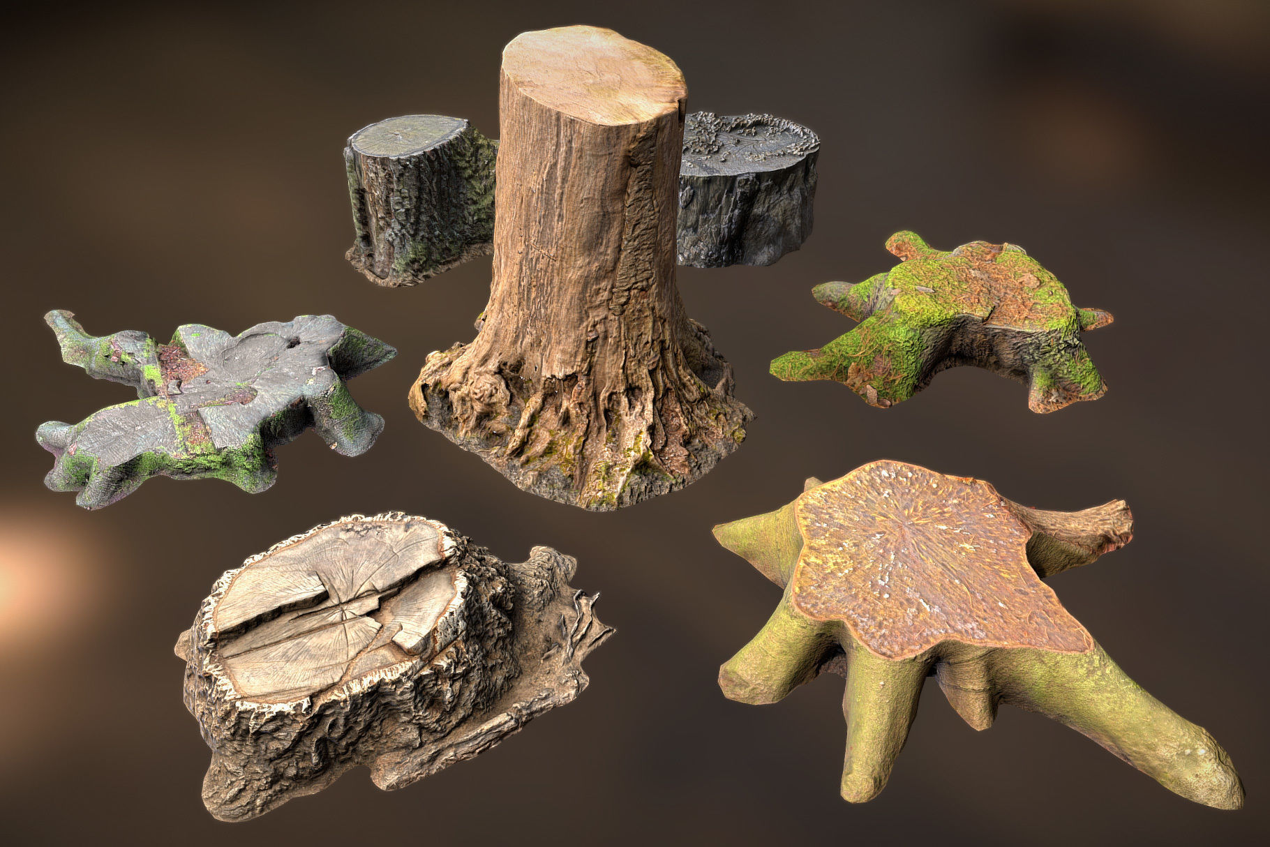 Photorealistic Tree Stumps with LODs Low-poly 3D model_4
