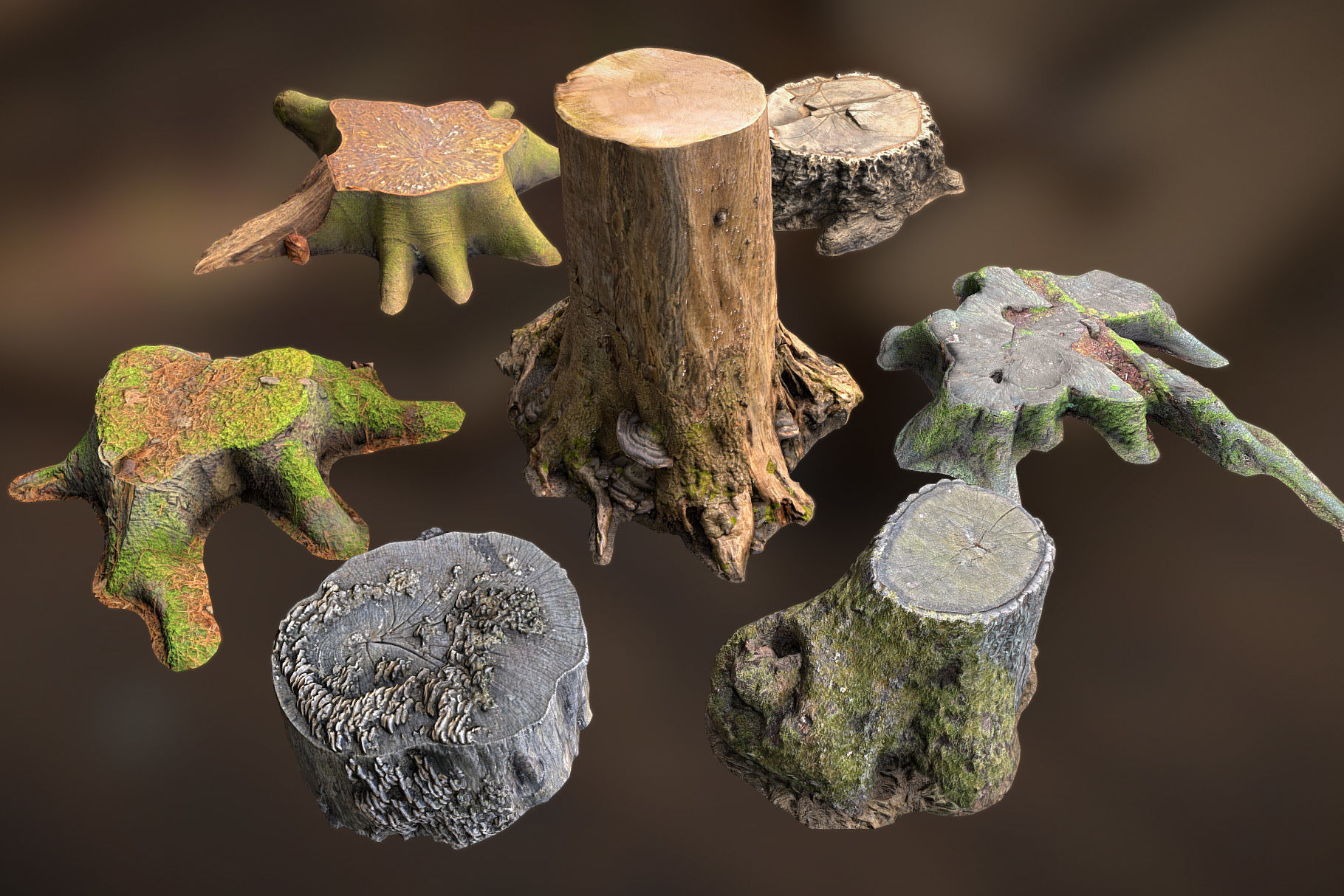 Photorealistic Tree Stumps with LODs Low-poly 3D model_7