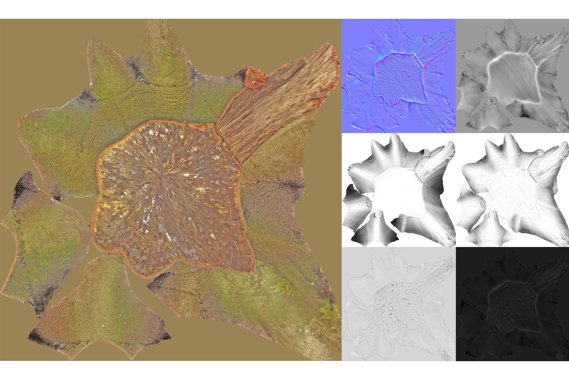 Photorealistic Tree Stumps with LODs Low-poly 3D model_27