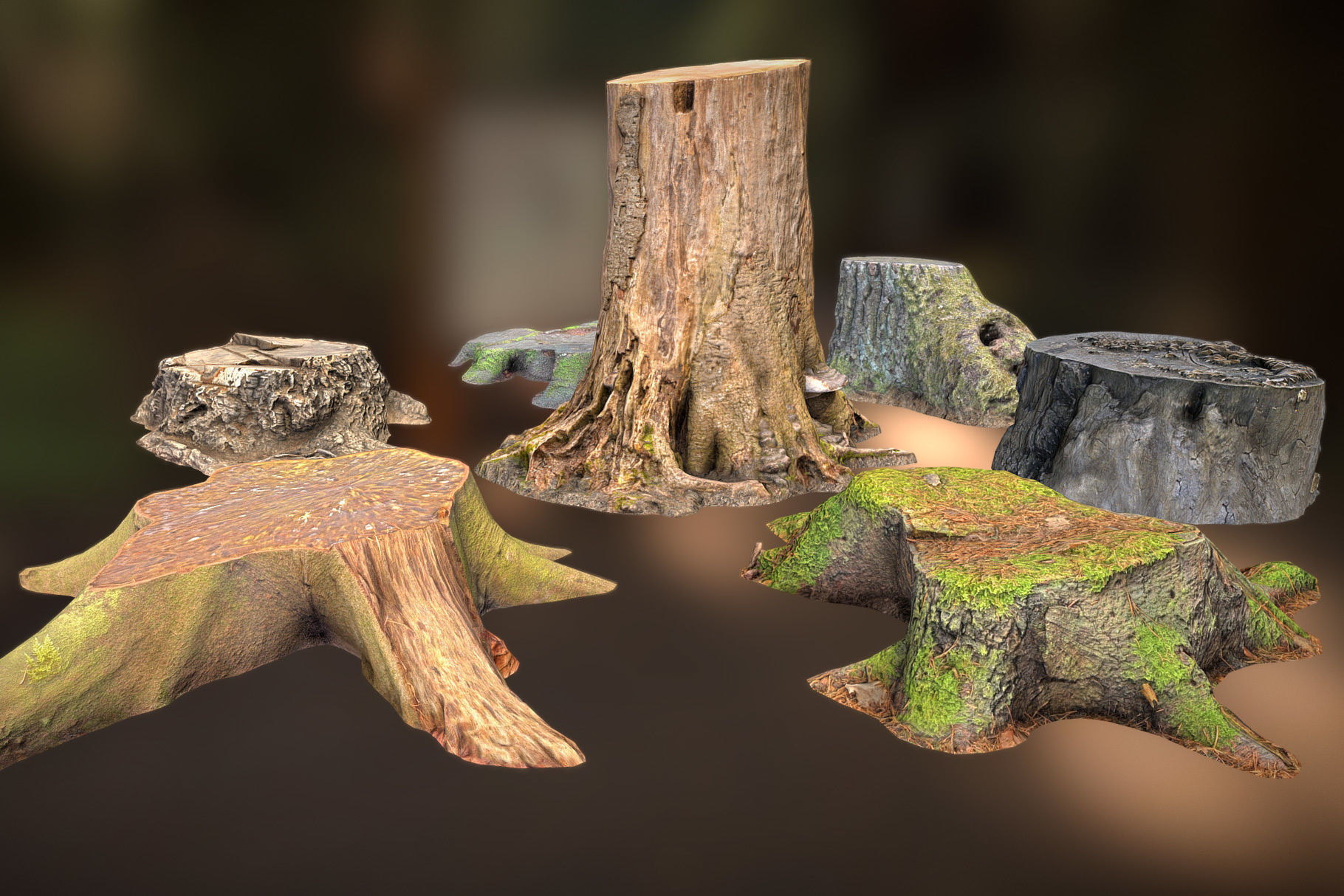 Photorealistic Tree Stumps with LODs Low-poly 3D model_11