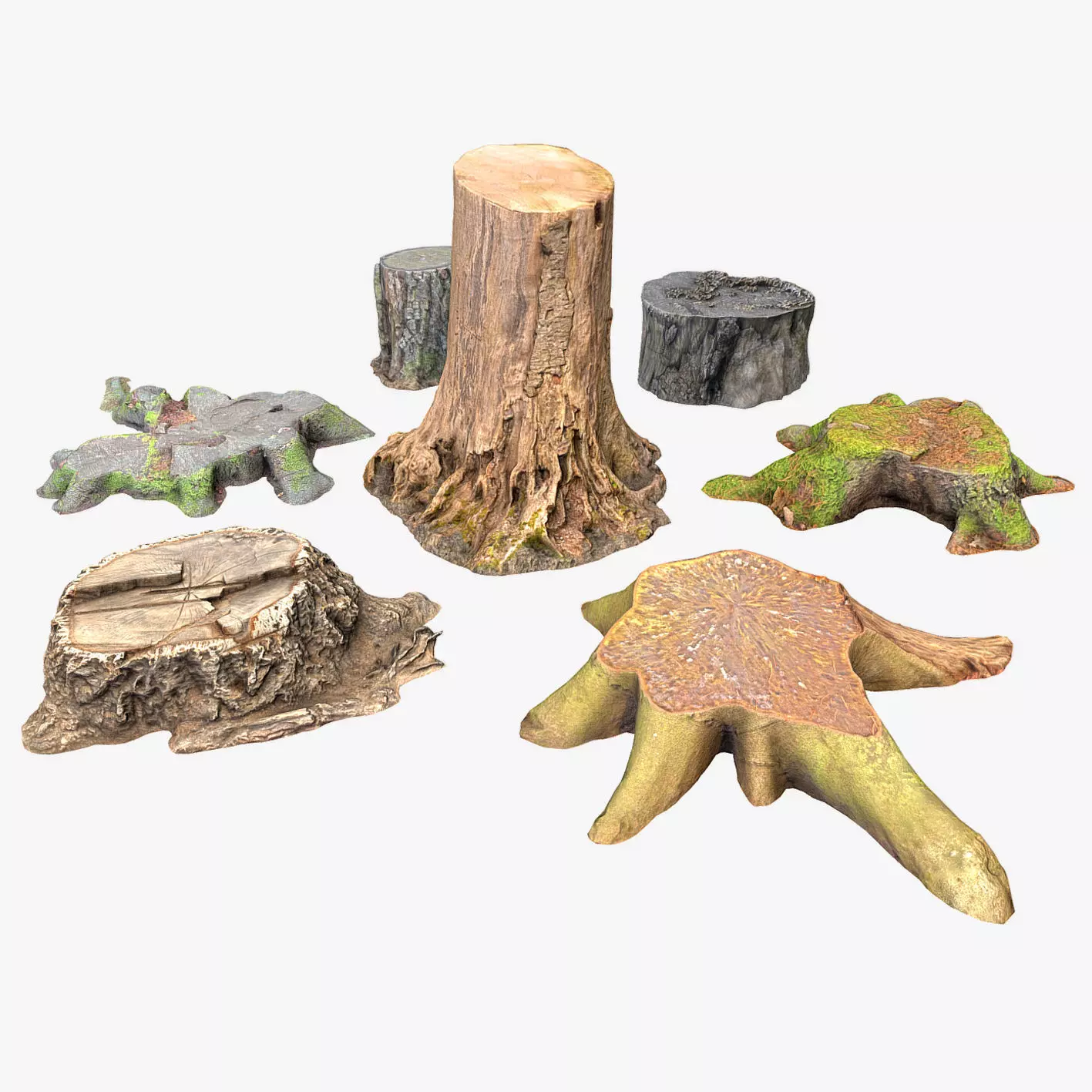 Photorealistic Tree Stumps with LODs Low-poly 3D model_0