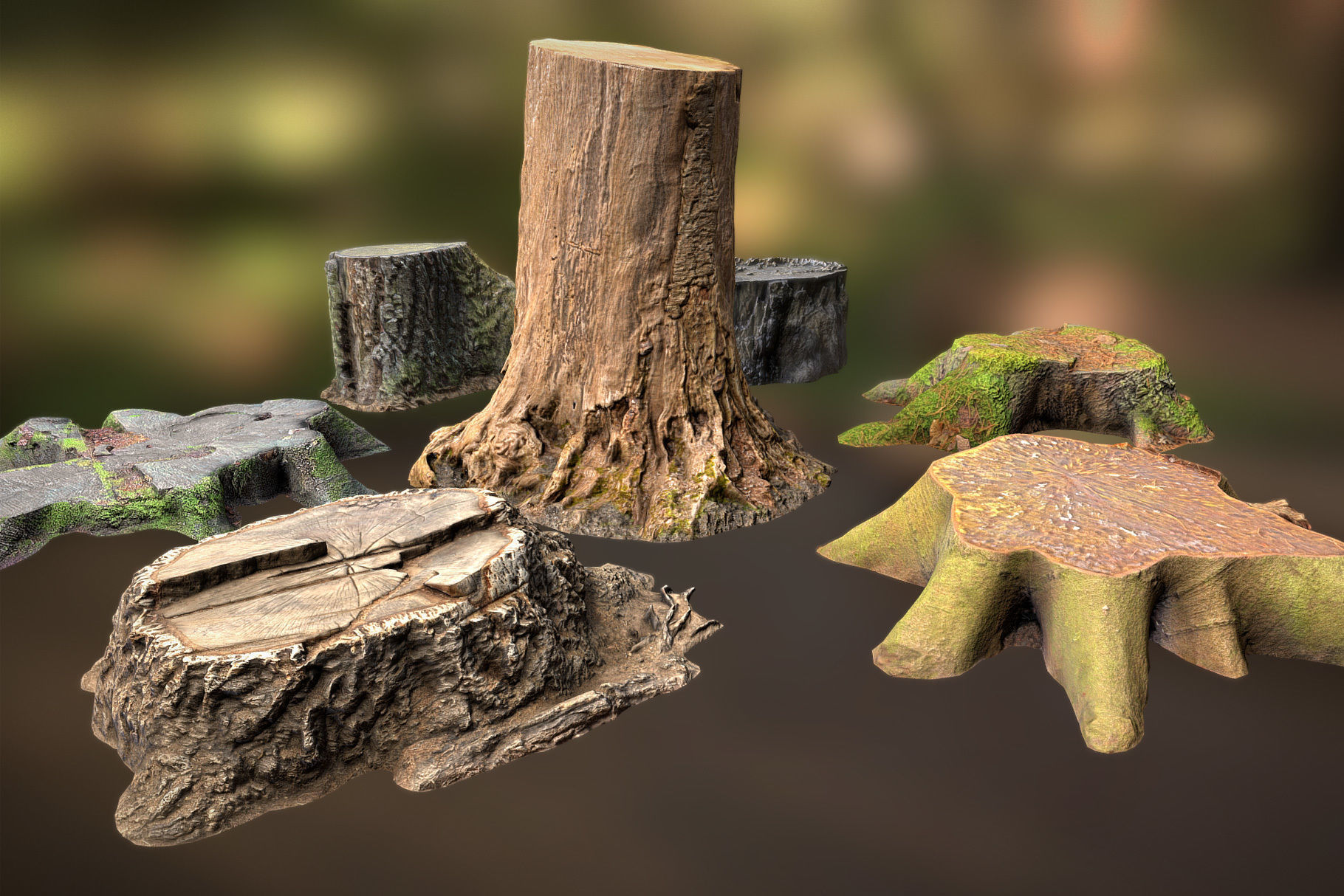 Photorealistic Tree Stumps with LODs Low-poly 3D model_9
