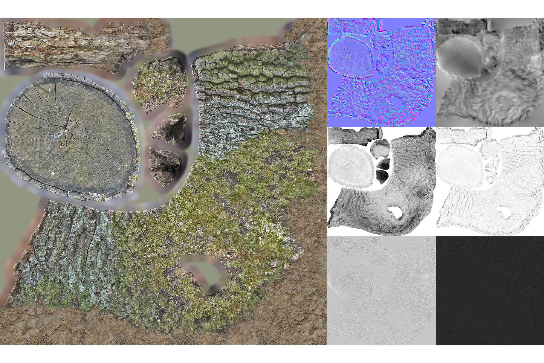 Photorealistic Tree Stumps with LODs Low-poly 3D model_24