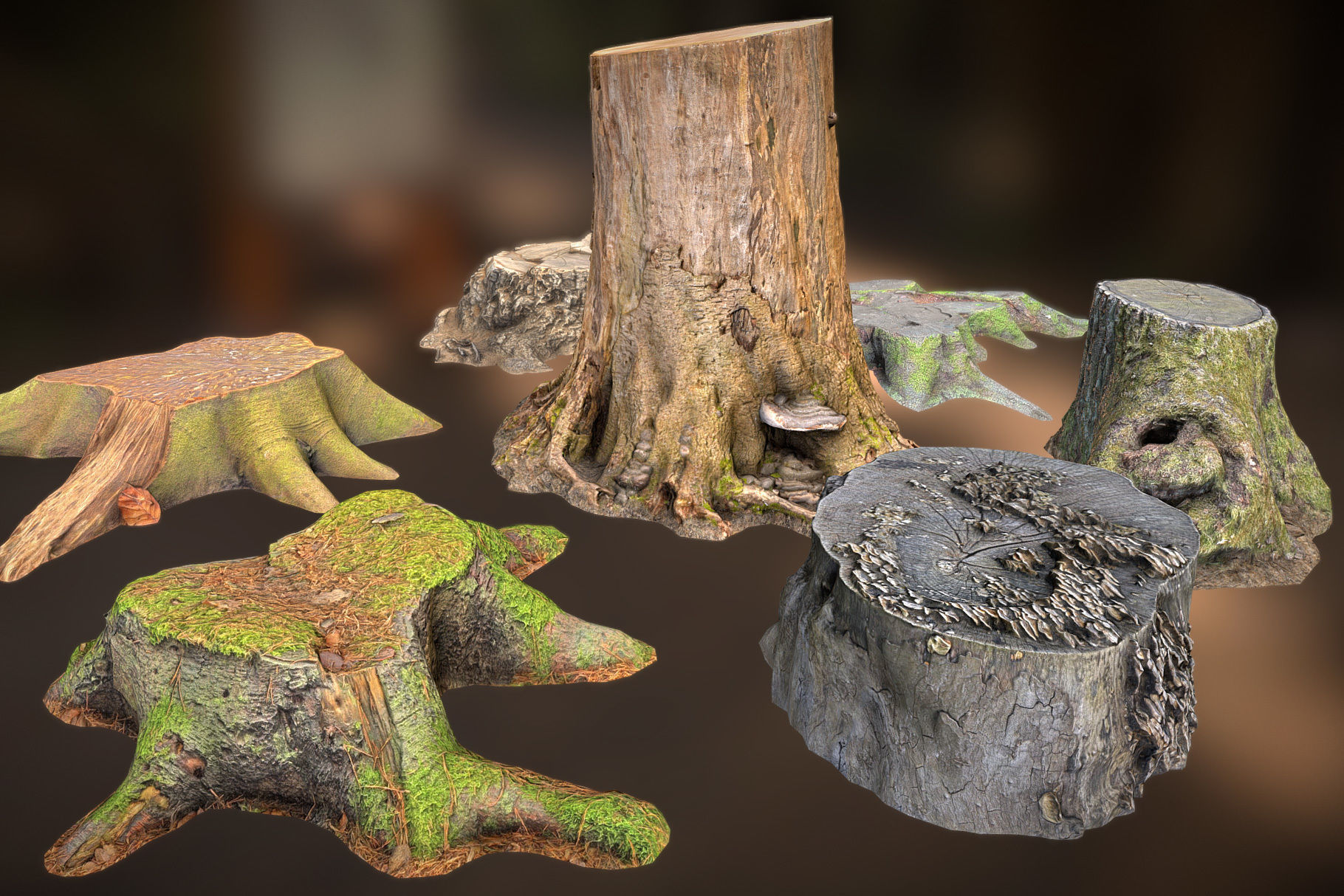 Photorealistic Tree Stumps with LODs Low-poly 3D model_12