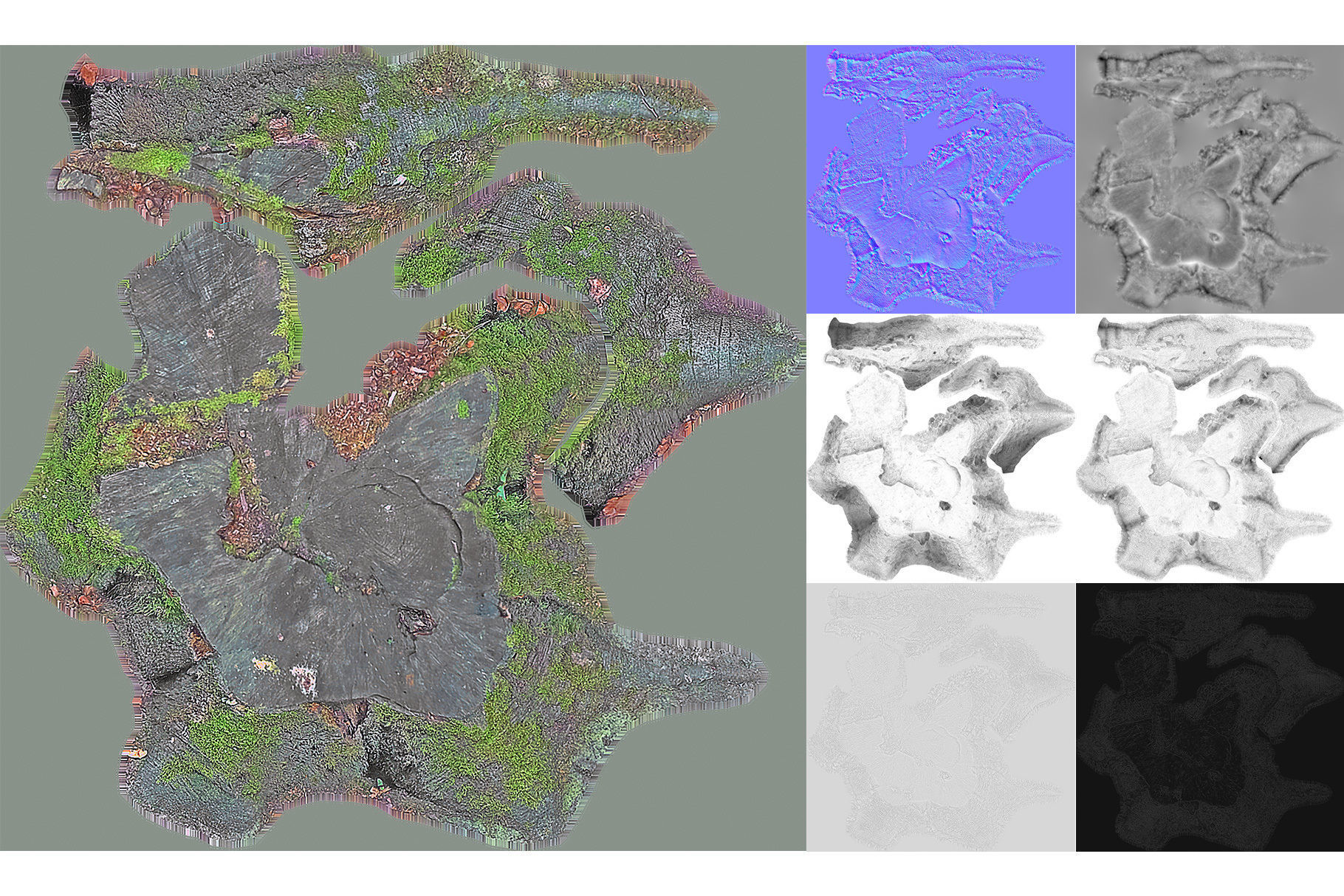 Photorealistic Tree Stumps with LODs Low-poly 3D model_26