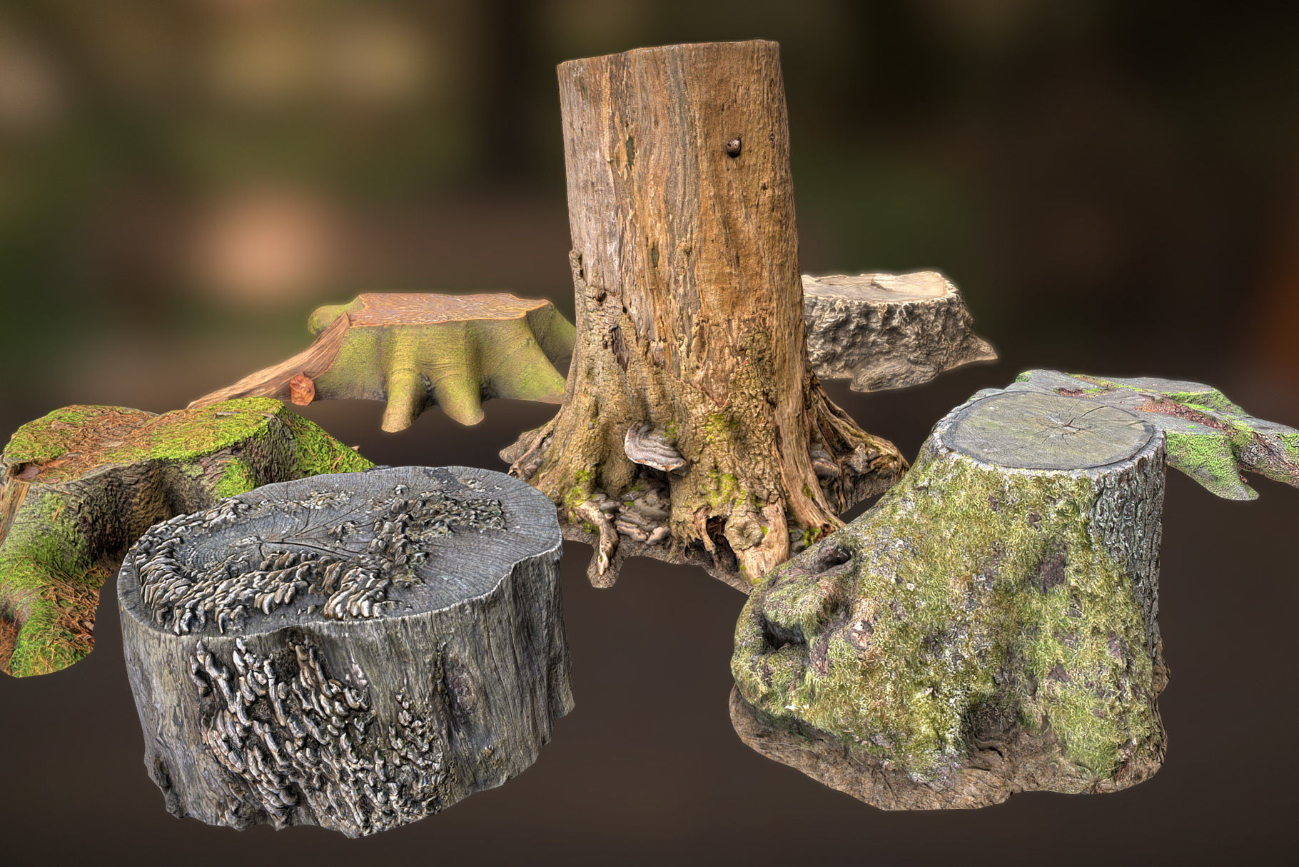 Photorealistic Tree Stumps with LODs Low-poly 3D model_13