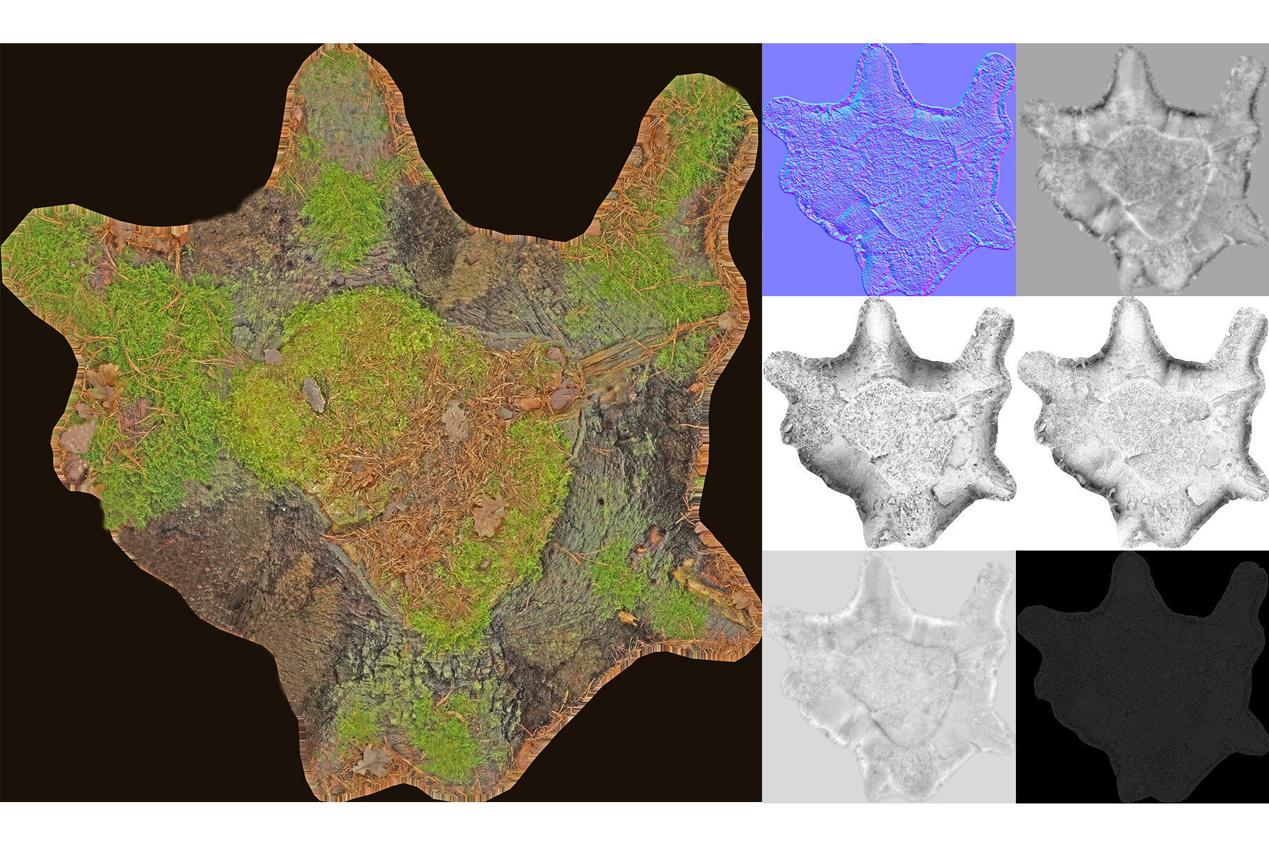 Photorealistic Tree Stumps with LODs Low-poly 3D model_28