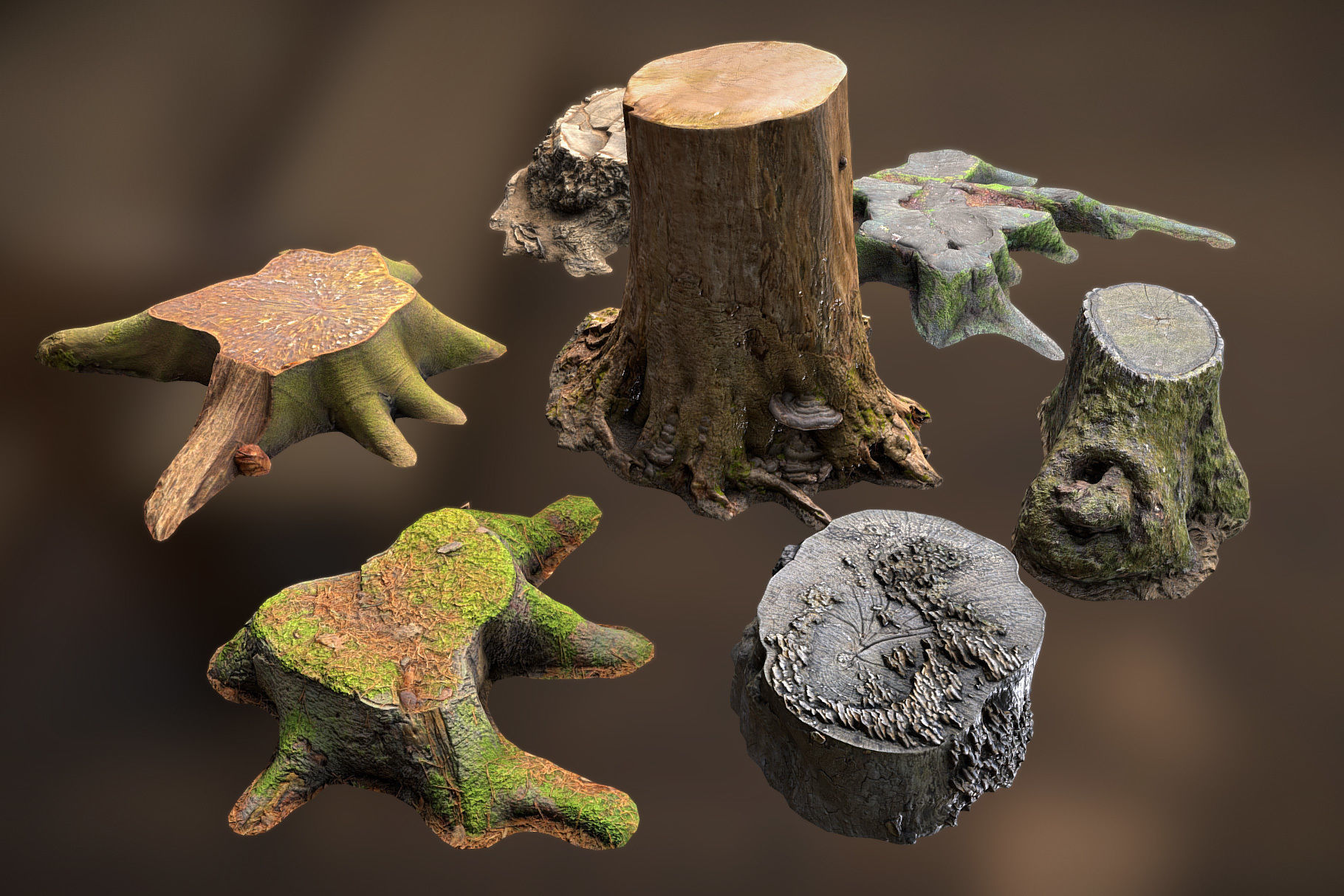 Photorealistic Tree Stumps with LODs Low-poly 3D model_6