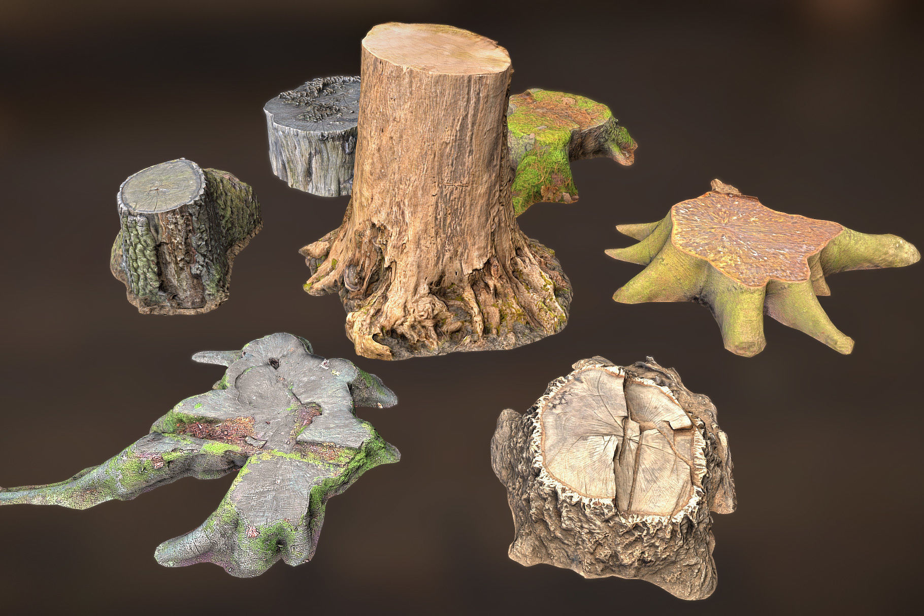 Photorealistic Tree Stumps with LODs Low-poly 3D model_3