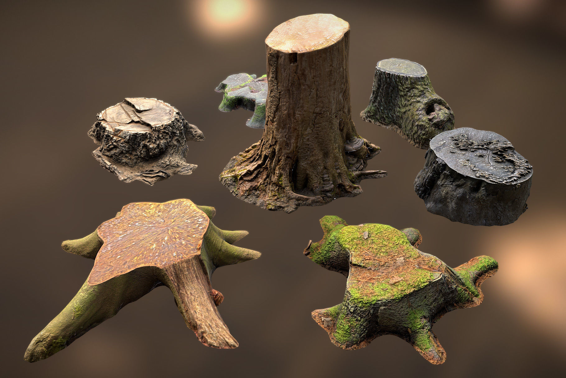 Photorealistic Tree Stumps with LODs Low-poly 3D model_5