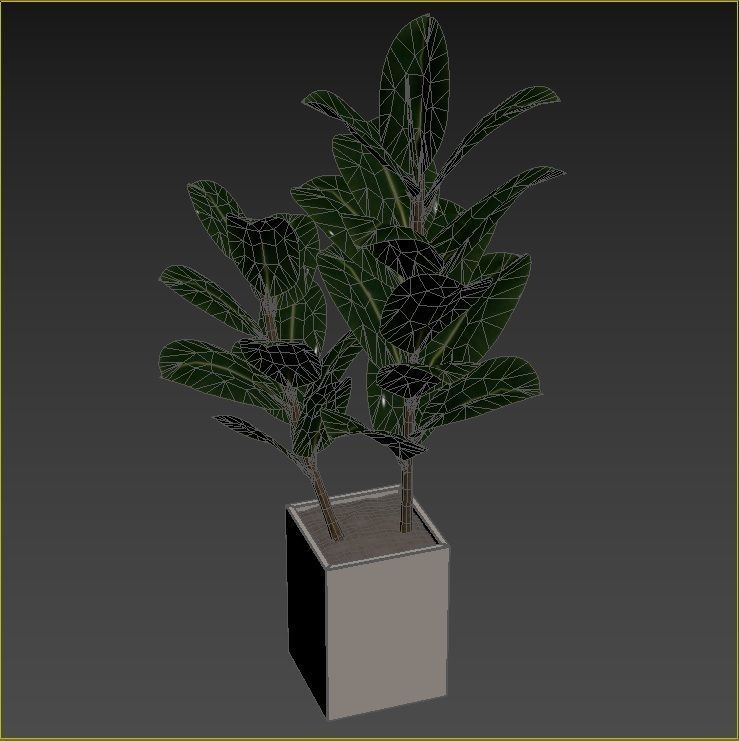 Plant Collection Rpm 01 3D model_32