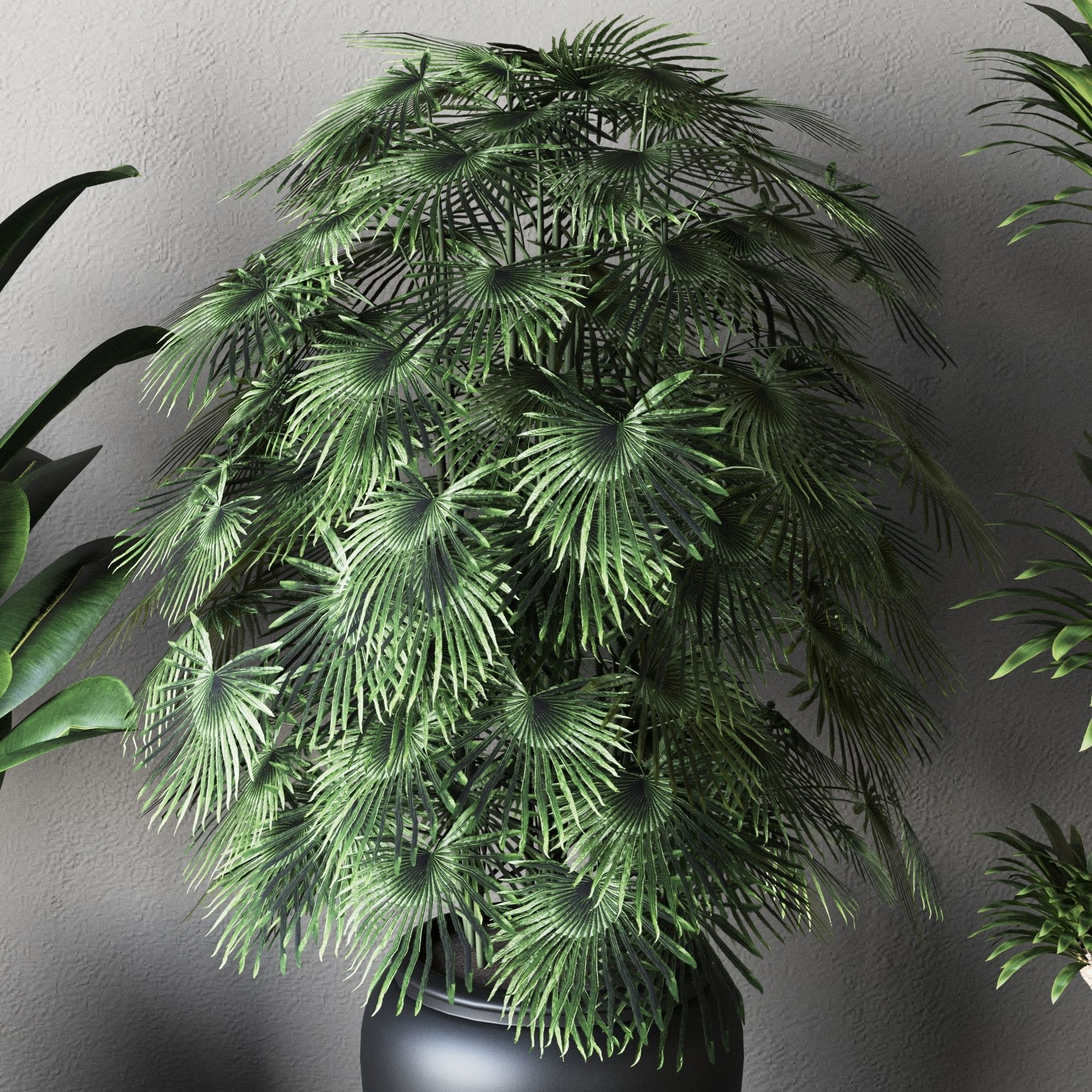 Plant Collection Rpm 01 3D model_5