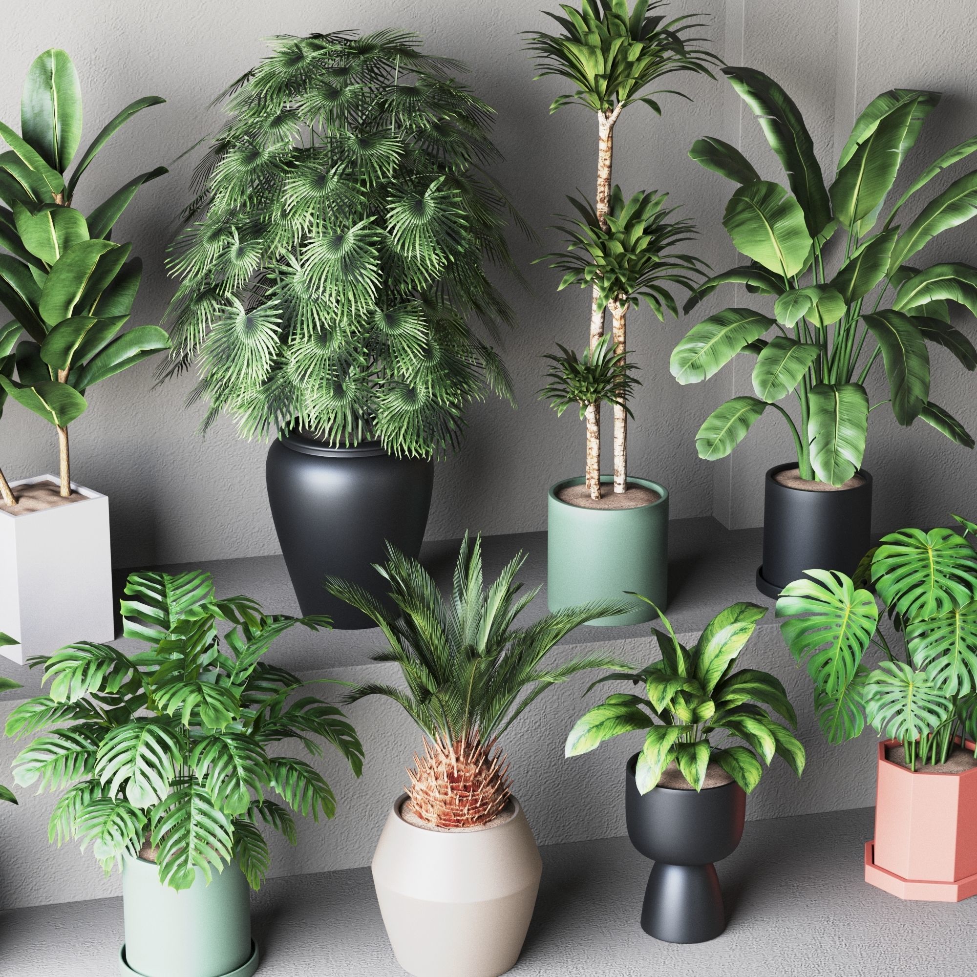 Plant Collection Rpm 01 3D model_2