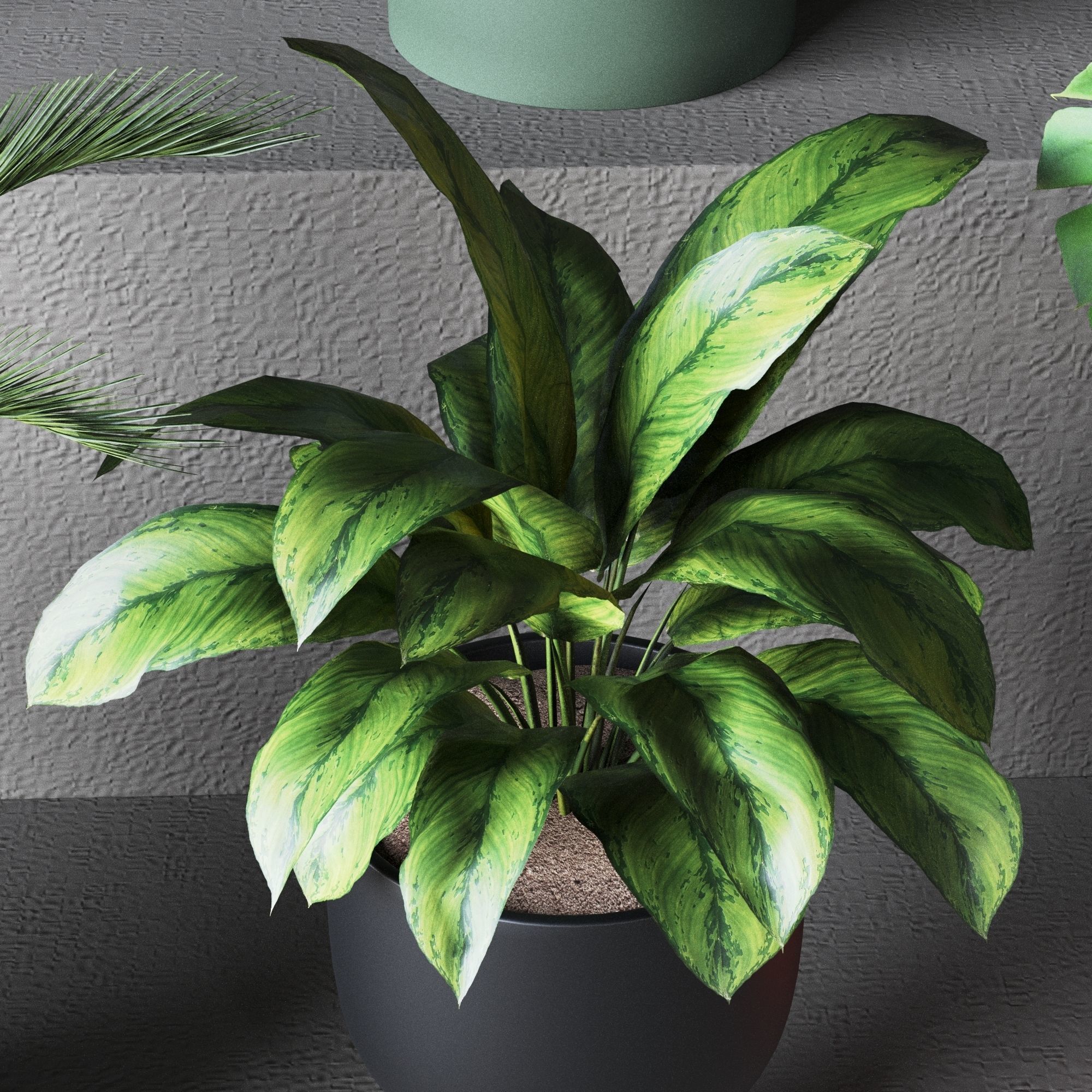 Plant Collection Rpm 01 3D model_9
