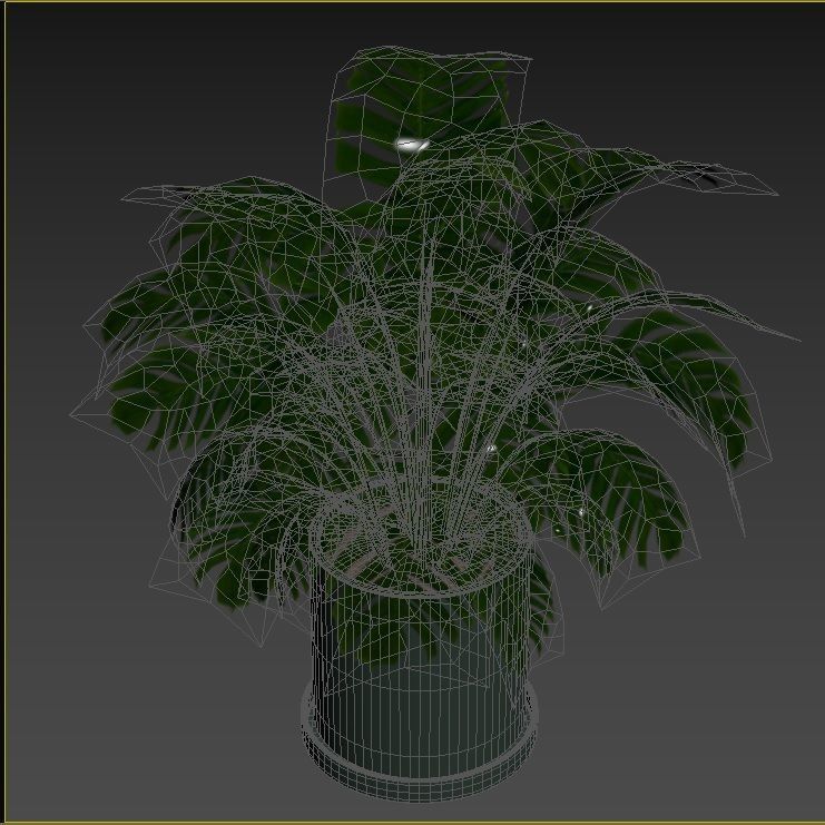 Plant Collection Rpm 01 3D model_26
